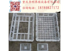 雞用運(yùn)輸籠 成雞周轉(zhuǎn)籠 塑料雞籠 養(yǎng)殖運(yùn)輸籠