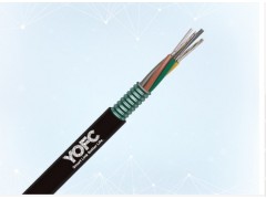 惠州4芯長飛光纜_4芯光纜價(jià)格_光纖熔接