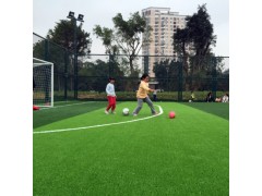 萊蕪 勾花護(hù)欄網(wǎng) 球場(chǎng)圍網(wǎng) 直接供工廠(chǎng)