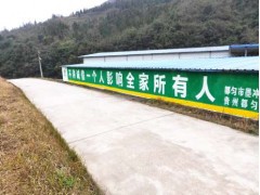 阜陽(yáng)墻體廣告圖片大全 墻體噴彩繪一直致力于墻面設(shè)計(jì)