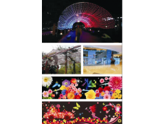 戶外防水天幕墻LED霓虹燈亮化燈光秀商場(chǎng)酒店樓體商業(yè)街燈光秀