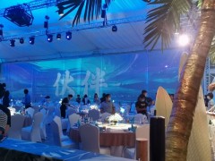 深圳定制不同類型不同尺寸全息紗幕 投影紗幕 舞臺(tái)宴會(huì)廳紗幕