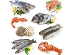 福鄰鮮水產(chǎn)專用保水劑廠家直供