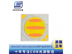 1414外形CRAIG雙路雙色LED燈珠光源8W24V