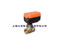 上海興麥隆 ETT8062電動(dòng)二通閥