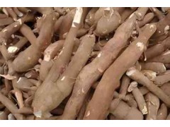 魔芋淀粉報(bào)關(guān)清關(guān)代理