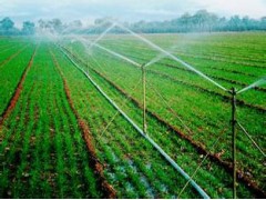 大田作物、草坪、花卉、苗圃、果樹(shù)及溫室大棚噴灌設(shè)備生產(chǎn)廠家