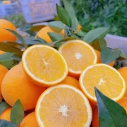 果農(nóng)直供臍橙，江西贛州安遠(yuǎn)臍橙，贛南臍橙