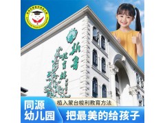 三六六社會實踐蘇州新魯同源幼兒園蘇州寶媽推薦